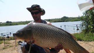 tancabesti